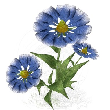 Beyaz arkaplanda güzel çiçekler