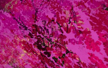 metin için alan ile arka planda soyut renkli lekeler