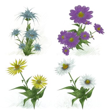 Beyaz arka planda suluboya çiçekler seti