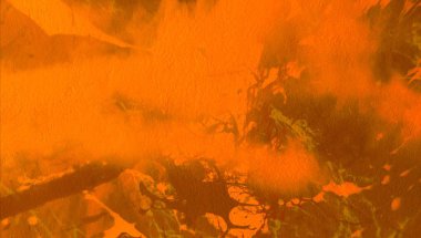 metin için alanı olan grunge arkaplanı   