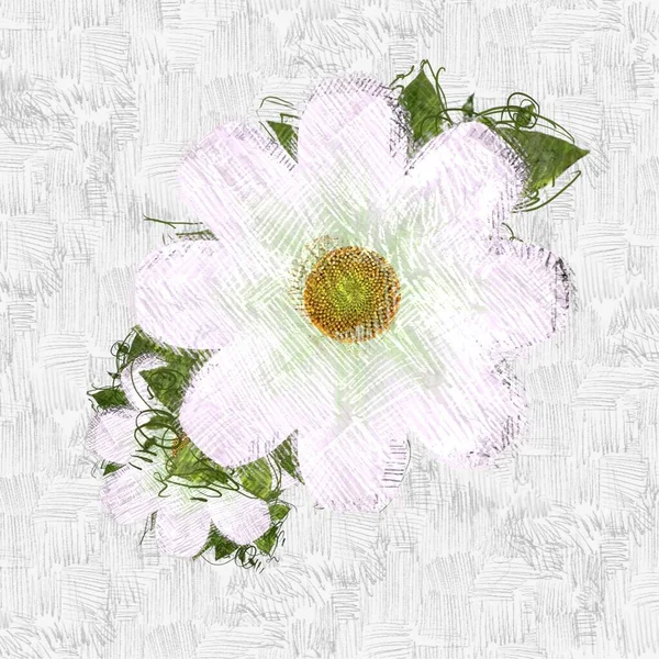 Špinavé Květiny Ošuntělém Pozadí — Stock fotografie