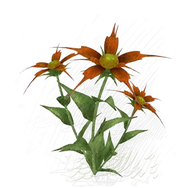 Beyaz arkaplanda güzel çiçekler 