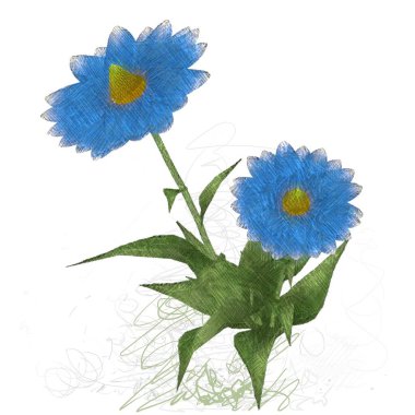 suluboya çiçek beyaz izole