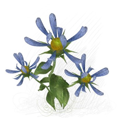 Beyaz arkaplanda güzel çiçekler 