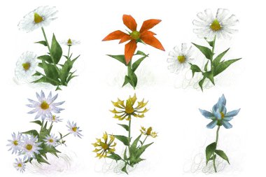 Beyaz arka planda güzel suluboya çiçekler