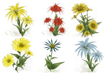 beyaz zemin üzerine suluboya çiçek