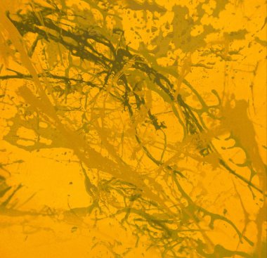 metin için alan ile arka planda soyut renkli lekeler