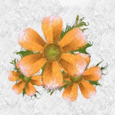 Beyaz arka plan üzerinde renkli çiçekler