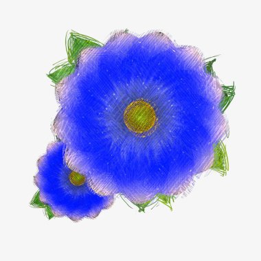 Beyaz arkaplanda izole edilmiş güzel çiçek