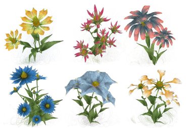 Beyaz arkaplanda güzel çiçekler