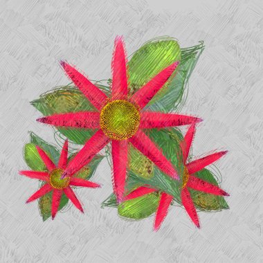 kırmızı ve beyaz arkaplan