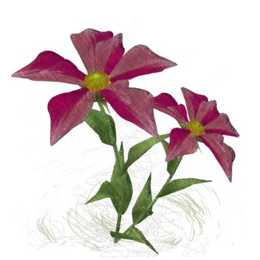 Beyaz arkaplanda güzel çiçekler 