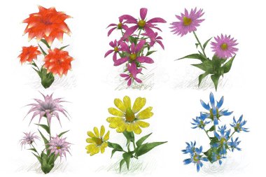 Beyaz arka planda suluboya çiçekler seti