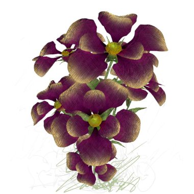 Beyaz arkaplanda güzel çiçekler 