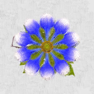 Beyaz arkaplanda renkli çiçekler