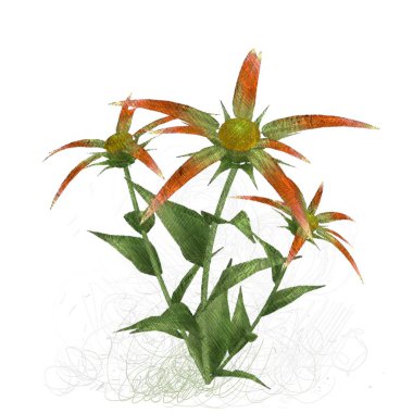 beyaz zemin üzerine suluboya çiçek