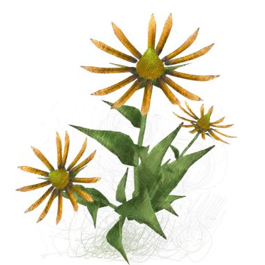 Beyaz arkaplanda güzel çiçekler 