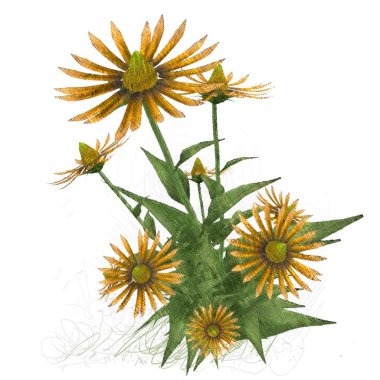 beyaz zemin üzerine suluboya çiçek