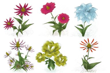 Beyaz arka planda güzel suluboya çiçekler