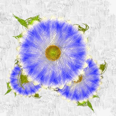 Beyaz arkaplanda çiçek