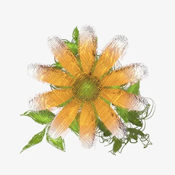 Грязный Цветок Потрепанном Фоне — стоковое фото