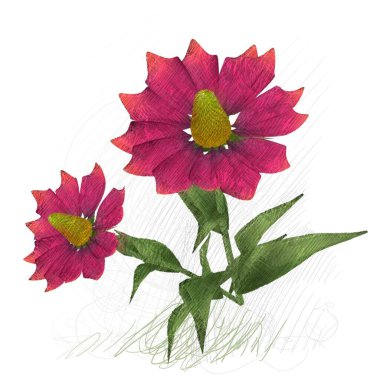 Beyaz arkaplanda güzel çiçekler 