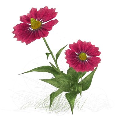 Beyaz arkaplanda güzel çiçekler 