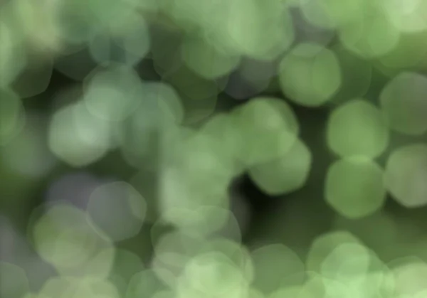 ボケと緑の背景 — ストック写真