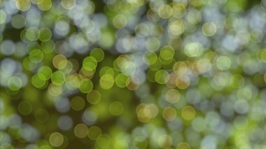 Bokeh ile soyut yeşil arkaplan