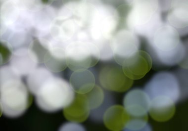 yeşil bokeh arka plan bulanık