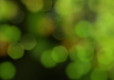 Bokeh ile soyut yeşil arkaplan
