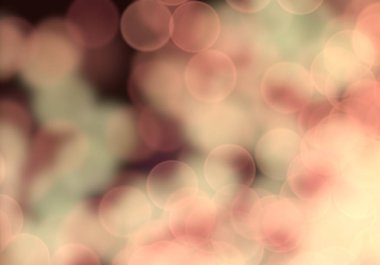 bokeh ile kırmızı gül arka plan