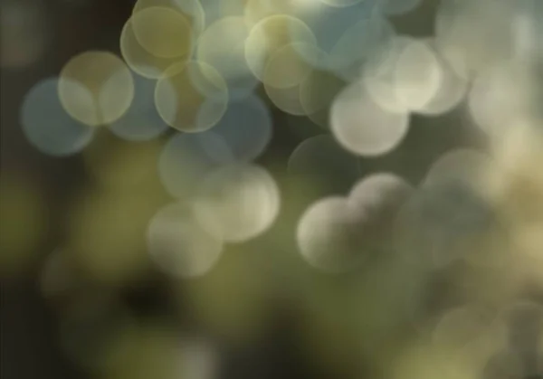 Abstrato Desfocado Fundo Com Bokeh — Fotografia de Stock