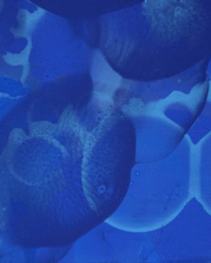 Soyut rastgele şekiller. 2D illüstrasyon arka planı. Düz beton duvarda sanatsal modern sanat kalıpları. Kabataslak boyalı yüzey. El yapımı fırça darbeleri.