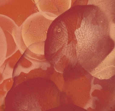 Soyut rastgele şekiller. 2D illüstrasyon arka planı. Düz beton duvarda sanatsal modern sanat kalıpları. Kabataslak boyalı yüzey. El yapımı fırça darbeleri.