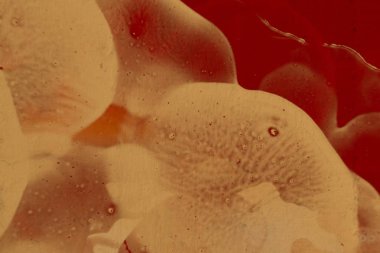 Yağlı boya ile soyut grunge arkaplan kaba desen lekeler