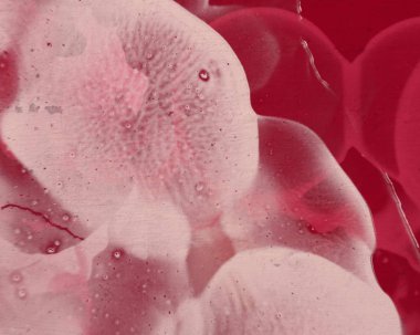 Metin için yeri olan boya lekeleriyle soyut arkaplan  