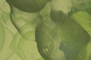 boya lekeleri ile grunge arka plan   