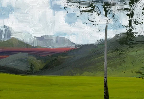 다채로운 필드와 잔디입니다 시간입니다 — 스톡 사진