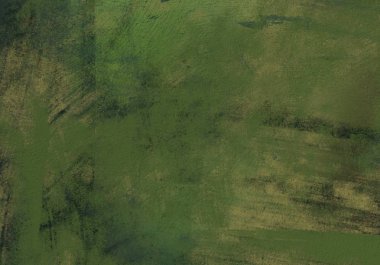 2d illüstrasyon. Beton düz duvar grafitisi. Modern sanat tarzı. Çok renkli şekil ler ve desenler. El yapımı sprey resimleri. Boyalı pürüzlü yüzey. Fırça darbeleri.  