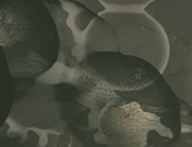 Metin için yeri olan boya lekeleriyle soyut arkaplan