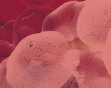 Metin alanı ile modern dijital duvar kağıdı