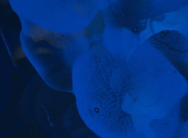 soyut yaratıcı renkli grunge arka plan