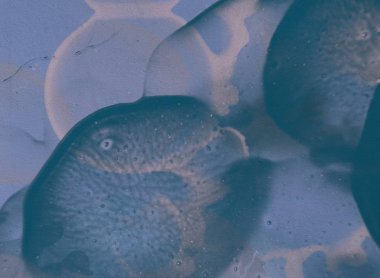 Yağlı boya ile soyut grunge arkaplan kaba desen lekeler