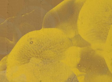 metniniz için alan içeren soyut boya arka planı