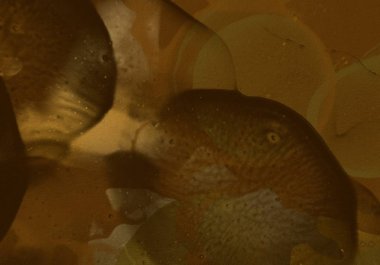 2d illüstrasyon. Beton düz duvar grafiti fon. Modern sanat tarzı. Çok renkli şekil ler ve desenler. El yapımı sprey resimleri. Boyalı pürüzlü yüzey. El yapımı fırça darbeleri.