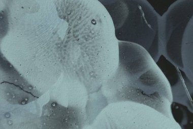 Soyut sanat dokusu. Renkli doku. Modern sanat eserleri. Renkli görüntü. Modern sanat. Çağdaş sanat.