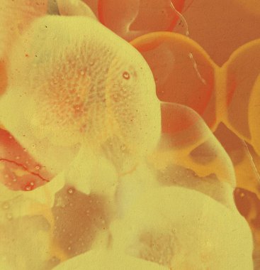 2d illüstrasyon. Beton düz duvar grafitisi. Modern sanat tarzı. Çok renkli şekil ler ve desenler. El yapımı sprey resimleri. Boyalı pürüzlü yüzey. Fırça darbeleri.     