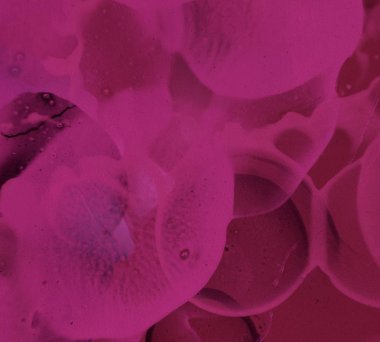 metin veya resim için alanı olan grunge arkaplanı