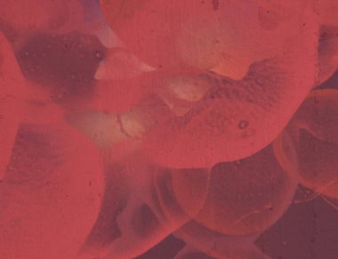 2d illüstrasyon. Beton düz duvar grafitisi. Modern sanat tarzı. Çok renkli şekil ler ve desenler. El yapımı sprey resimleri. Boyalı pürüzlü yüzey. Fırça darbeleri.  